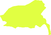 Guainia